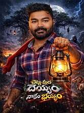 Chettu Meedha Dhayyam Nakem Bhayam (2026)