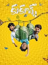 Cocoons HDRip [Telugu] (2026)